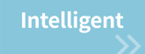 Intelligent
